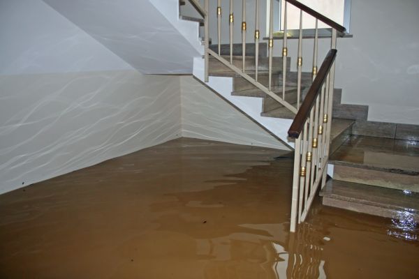 Storm Damage Restoration in Woodinville