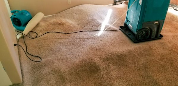 Flood Damage Cleanup in Woodinville