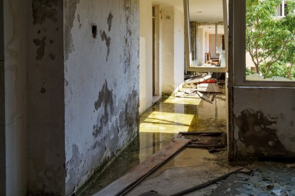 Water Removal Service in Woodinville