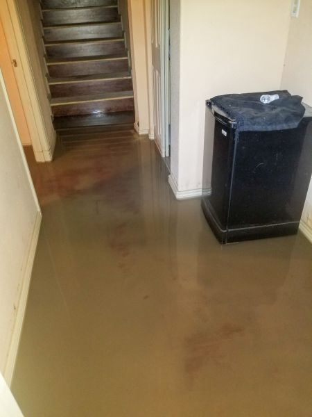 Emergency Water Removal in Woodinville