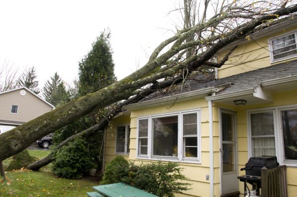 Hurricane Damage Repair in Woodinville